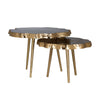 Richmond Salontafel Phoeby set van 2 (Brushed Gold)