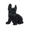 Richmond Dog Miro zwart (Black)