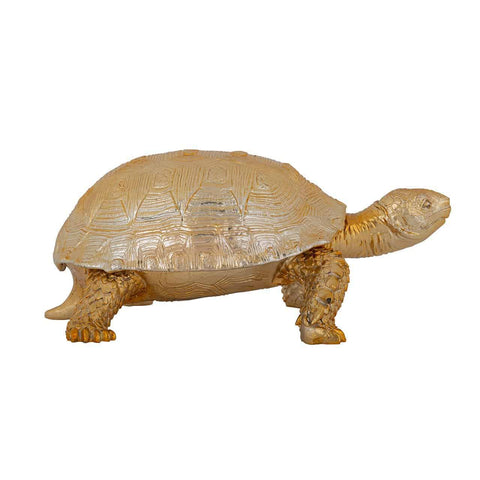 Image of Richmond Decoratie box Turtle (Gold)